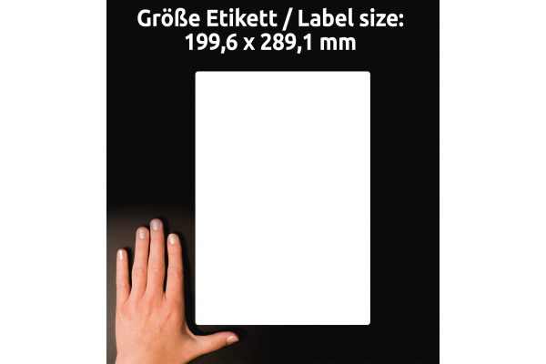 AVERY ZW. Adressetiketten 199,6x289,1mm LR7167100 recycling 100 Stück