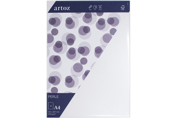 ARTOZ Karten 1001 A4 869614211 250g, weiss 5 Blatt