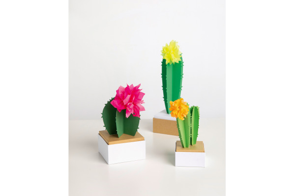 FOLIA Blumenseide 50x70 cm 91099 Neon Mix 5 Bogen