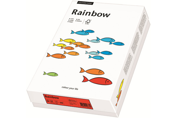 PAPYRUS Rainbow Papier FSC A3 88042588 80g, hellgrün 500 Blatt