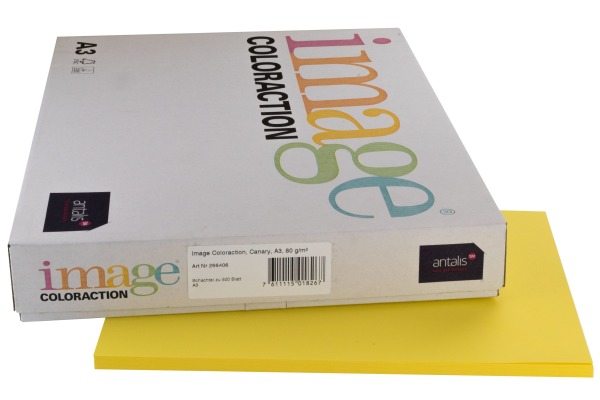 IMAGE COL Kopierpapier Canary A3 285483 120g, kanariengelb 250 Blatt