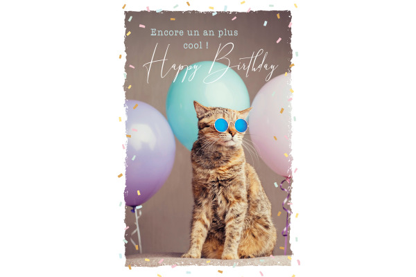 ABC Geburtstagskarte FR B6 53066 Sunny Cat
