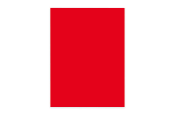 ELCO Office Color Papier A4 74616.92 80g, rot 100 Blatt