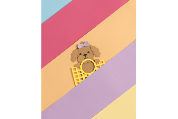 FOLIA Fotokarton A4 614/5095 300g, Pastell 50 Blatt