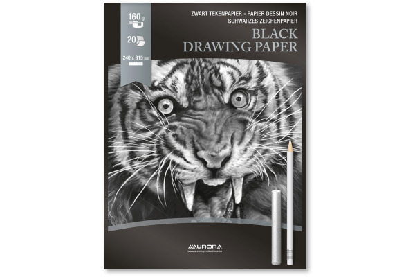AURORA Zeichenblock 24X31,5cm BL33 schwarz, 160g 20 Blatt